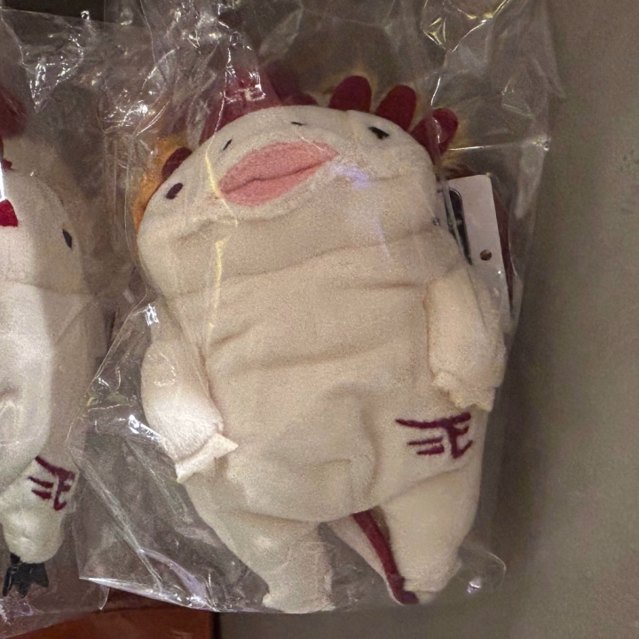 かわい子ちゃんが楽天イーグルスショップにいたー

でも気に入った顔の子がいなかった＿|￣|○ il||li


あ、今日は石巻です！