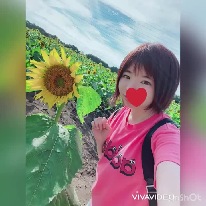 ひまわり🌻見てきました！！そして、初動画です(*^ω^*)♪顔もちょっとだけ見えちゃってます(*´艸｀*)よかったら見てください！！