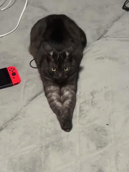 にゃ
