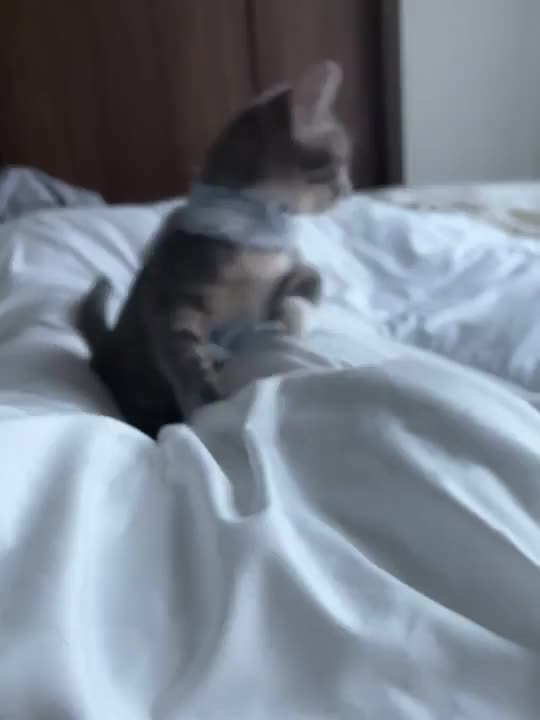 じゃんぷー！