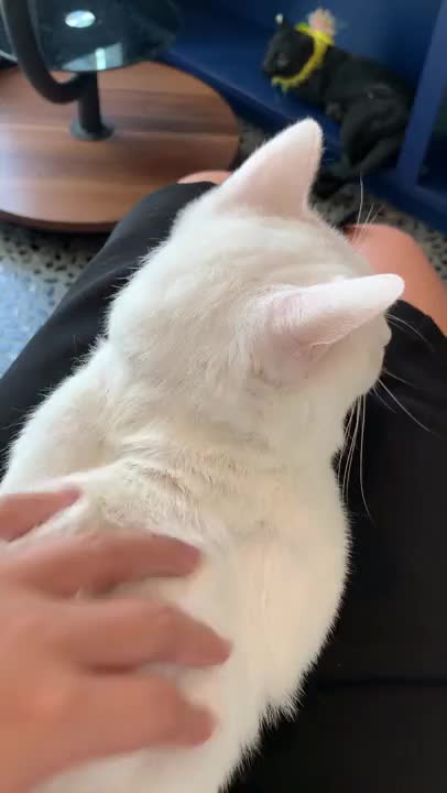 なでなで♡