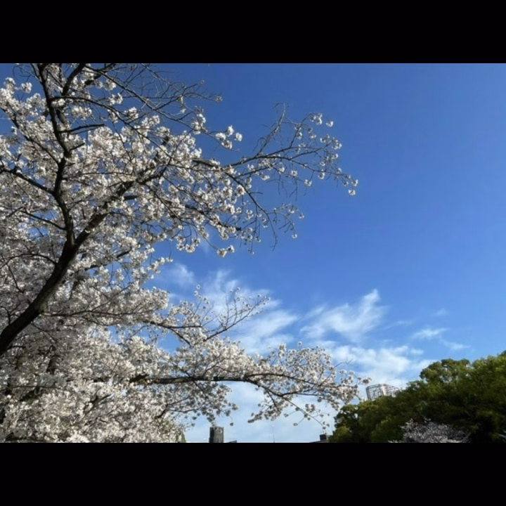 本日出勤です︎🫶💕

今日は初の土曜日出勤🥹
次土曜日いつ入れるか分からないのでお誘いお待ちしております🙇‍♀️
今日もたくさんのお兄さんに会えるのを楽しみにしてます❤️