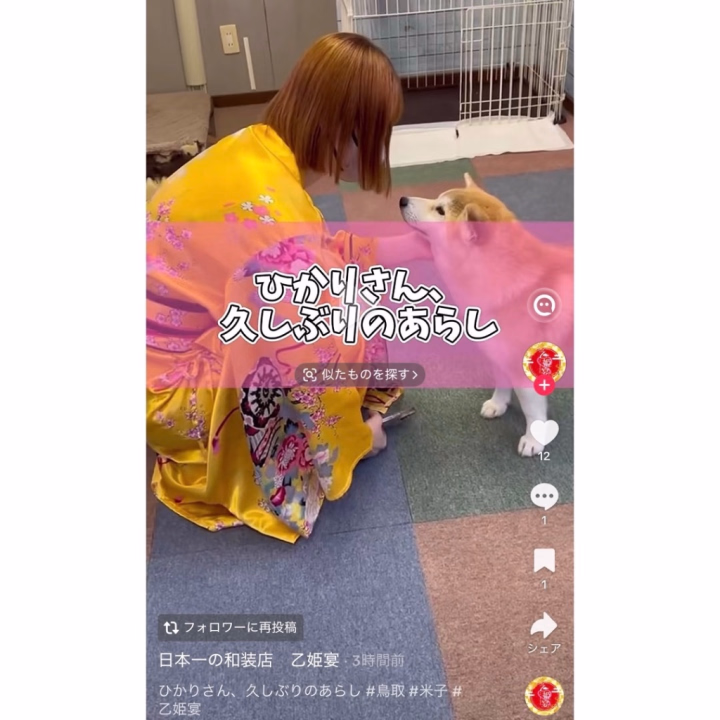 こんばんは〜☺️

あらし部長とたわむれてる動画載りました🥰
あらし可愛すぎる😚😚😚
いいね、いっぱいしてねーーーっ💟
