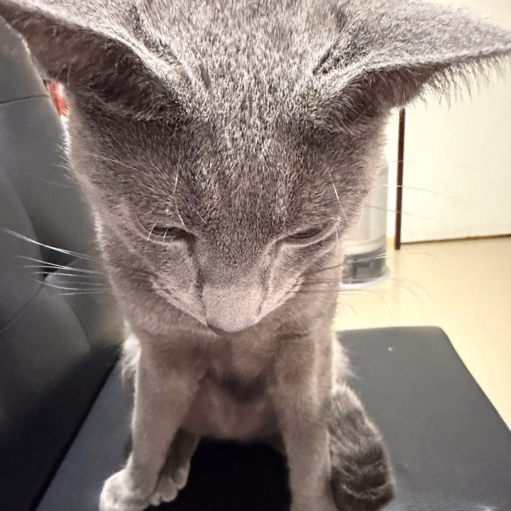 幸せだ〜🥰💕