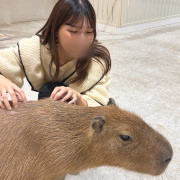 あるの
