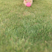 ことね🍒横浜恋愛グループ／巨乳爆乳専門店／おっぱい／店舗型ヘルス