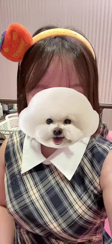 やっほ〜！ねるだよ😊

ハロウィン期間限定で、
パンプキンカチューシャを着けて
出勤してます❗️
面白いでしょ〜！

可愛く密着ご奉仕いたしますので、
ぜひ遊びに来てください✨