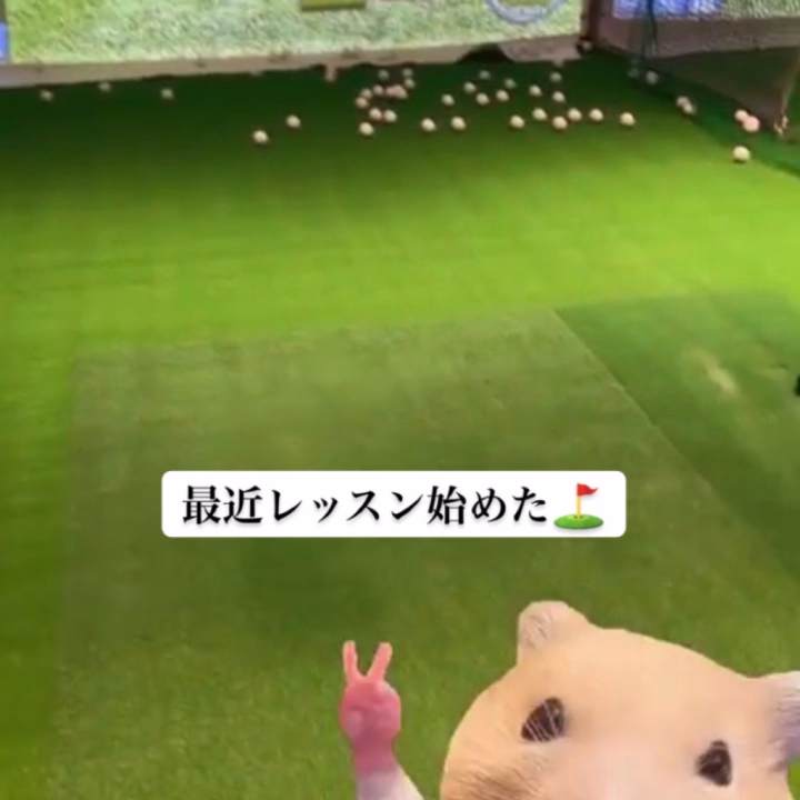 スタートから今日もありがとうございます⭐️

スタイルや顔をネットに出さないの勿体無いーと言ってもらえて気分いいです✨

選んでくれた人の特権だね✨

最近は他のお仕事の関係でゴルフを始めました🏌️‍♀️
個人レッスンなので外に出てない⛳️まだひよっこです。

体が硬い弊害がここにも、、、、
ゴルフやってるお客さんも多いよねー？

ストレッチしてお風呂屋さんでも
健康に頑張っていきます💪🏻

17時までお待ちしていますー🛁