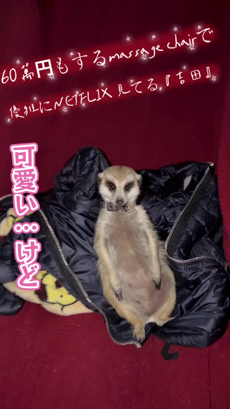 こんばんは。お久しぶりです。ストレス性胃炎になったらしばらくお休みをしておりましたが、過労も加わっていたみたいであったら、やっと少しずつ復活いたします　　　　

毎月大阪から出張を作って会いに来てくださるN様…しばらくお店を休んでいたので、今からもうムラムラ

お部屋に入ると押し倒しちゃうかも
😉💞

では明日もよろしくお願いいたします。まだ17時からが予約が空いてるかなぁ1枠1日お二人様から3名様にさせていただいておりますのでよろしくお願いいたします。

♡かやの♡