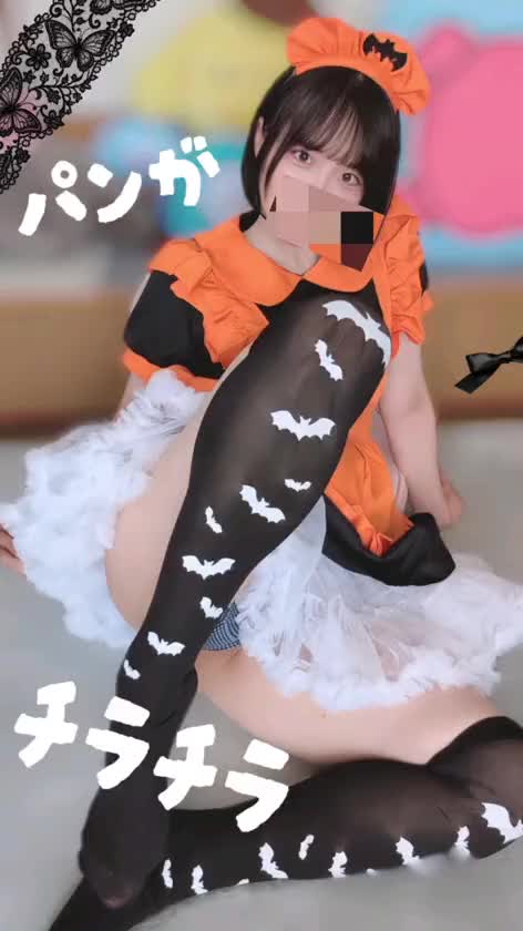 パンがチラチラ🩲

パンツ🩲
パンダ🐼
パン🍞

パ◯パン✨
パンパン…💕

世の中には魅力的な
パンがたくさんありますね…🤔

…下ネタが過ぎました🙇

お許しくださいね…🫶笑

皆様♡よい夜を✨⭐🌛✨😉